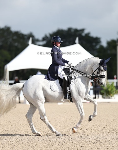 Tessa Holloran on the KWPN show jumping bred Ike (by Corland x Chin Chin)