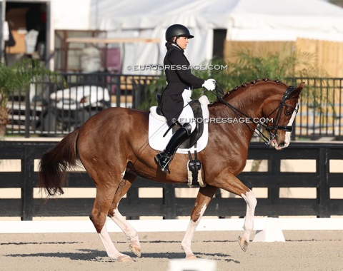 Under 25 rider Kylee McKereghan on Red Riding Hood (by Royal Classic x Rascalino)