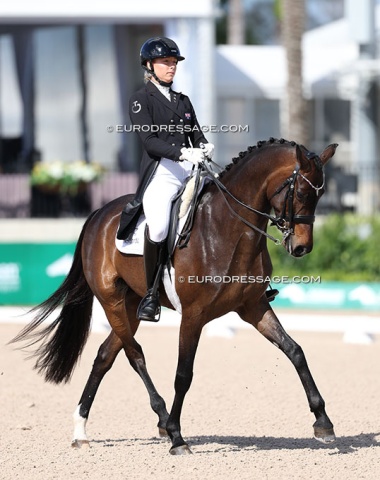 Hope Beerling on Evaslunds Daydream (by Donkey Boy x Doolittle)