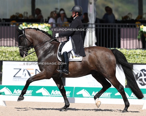 Rebecca Cohen on Prince of Hope (by Total Hope x Bellagio)