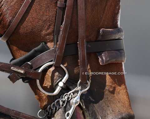 What a beautiful old school bridle.. now remove the padding and it will be even better and prettier ;)