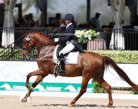 Rebecca Waite and the IALHA ( International Andalusian & Lusitano Horse Association) registered and PRE bred Aguileno Vinyet (by Gavilan XXIV x Brujo PM)