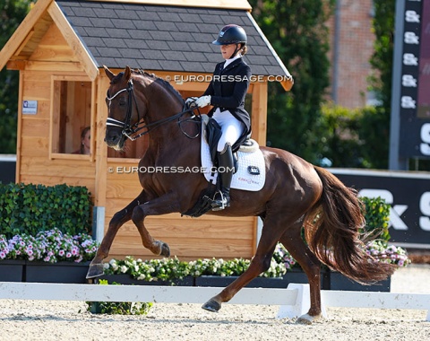 Czech's Barbora Krejcirova on Serano (by Serano Gold x Rubin Royal)