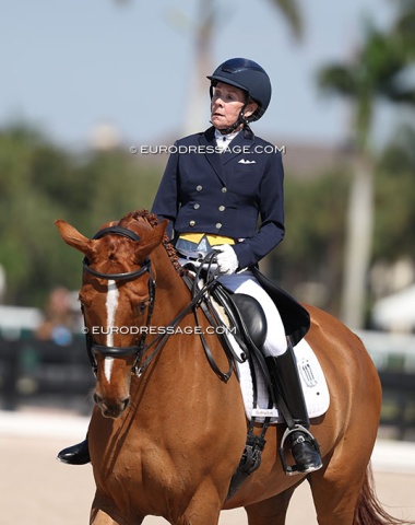 Mary Ann Grant, a rider I've seen compete in Florida for 25 years. Here she is on Loreto HM (Londonderry x Don Bosco)