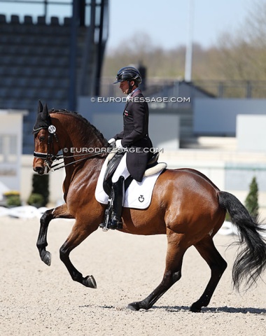 Former French team rider Marc Boblet on Jordan P (by Johnson x Kennedy)