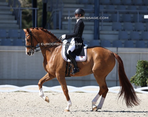 Berill Szoke Toth on Velasco (by Veneno x Biasini)