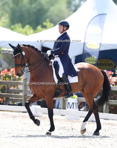 Italian based Irish James Connor on the talented Vanotti. Since Chiara Olper bought him from Martin Schaudt, the bay has been shown by Francesco Zaza, Tatiana Miloserdova; Enrico di Vico and now Connor.