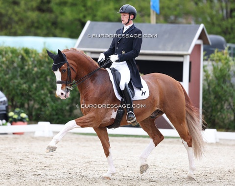 Niklaas Feilzer on Madeleine Winter-Schulze's Leo Löwenherz (by Licosto x Rockwell)
