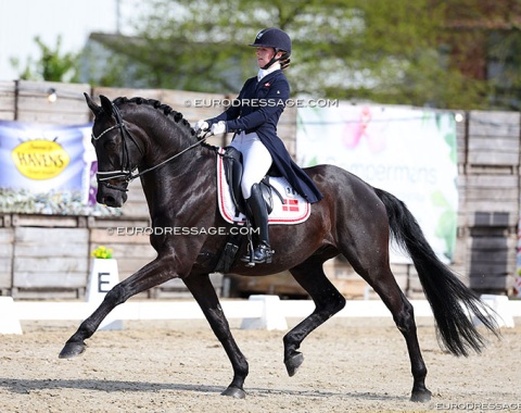 Anna Have Ledet-Larsen on Finnigan-Vitz
