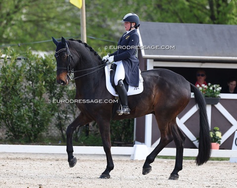 Belgian U25 rider Beaudine Pieters on Harmony Sporthorses' Diabolo (by Desperados x Rousseau), previously shown by Michael Klimke