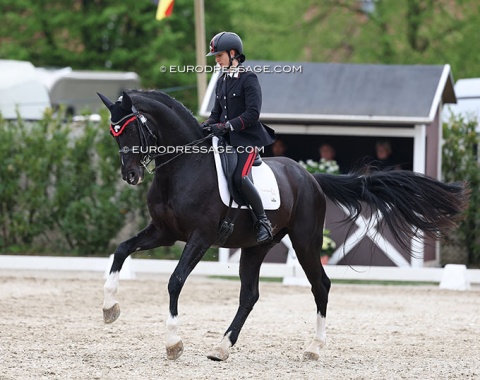 Francesca Rapazzoli on Invershin (by Charmeur x Balzflug)