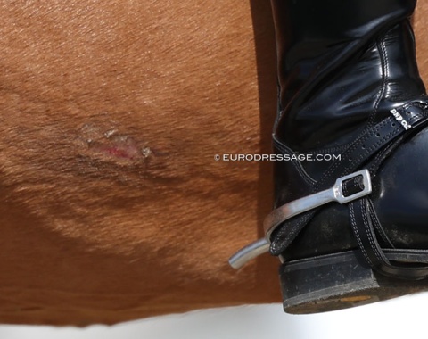 judgment call. This passed the tack check
