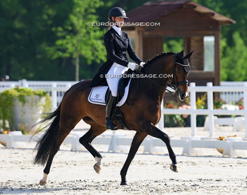 The winner of the Prix St Georges: Denise Nekeman on the home bred L'Unique STH (by Boston x Samba Hit)