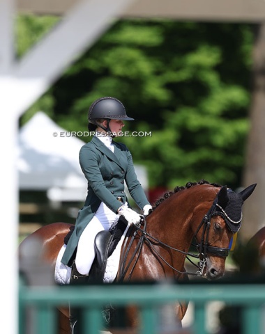 Micky Schelstraete on Venicia OLD (by Vivaldi x Don Frederico)