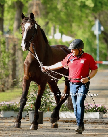 A truly spirited horse: Polish Grade 1 horse Darlington showed off when it was his turn.
