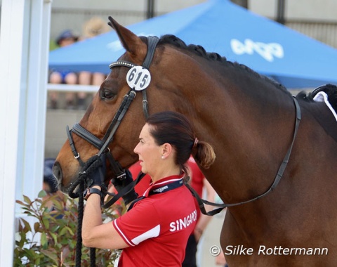 Laurentia Tan’s 13-year-old KWPN gelding Hickstead watching what is going on in the dressage arena