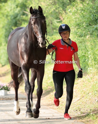 The Dante Weltino-offspring Donar Weltino presented by his rider Nicole Geiger from Switzerland.