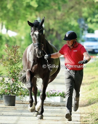 Cadence and activity already in the vet check: Heidemarie Dresing’s Dooloop kept German coach Rolf Grebe on his toes.