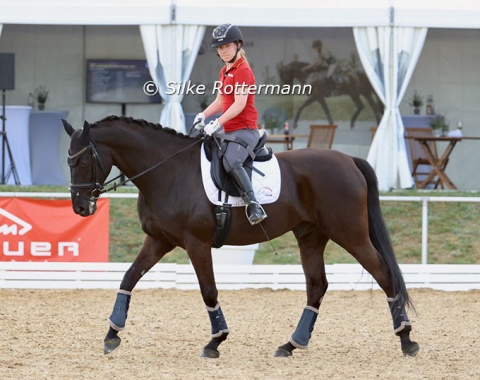 German Grade 1 rider Mara Mayer and her huge Westfalian HBS Daily Double (by Daley Thompson x Romantik Boy)