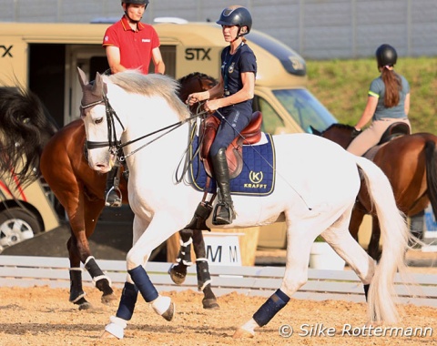 Swedish Grade 5 rider Lotta Wallin brought both her championships horses to Mannheim, here the PRE stallion Enebro SB