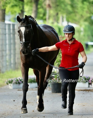 Steffen Zeibig’s wife Linda trots up their Trakehner gelding Patamon (by Windsor x Enim Pascha)