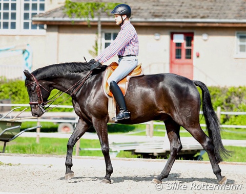„The walk has to become increasingly better as this is the proof of correct dressage training" -- (Dr. Gustav Rau in: H.L.M. van Schaik, Misconceptions and Simple Truths in Dressage)