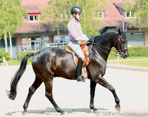 „The amplitude and gracefulness will much depend (…) on the freedom given to the neck.“ -- (General Decarpentry, Equitation Académique / Academic Equitation)