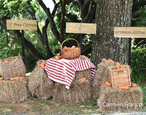 Carrot corner