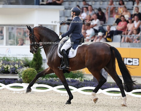 Anabel Balkenhol on High Five (Hohenstein x De Niro)