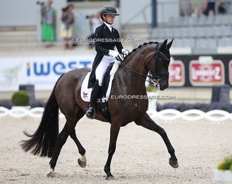 Canadian Hannah Beaulieu is an assistant rider at Werndl's in Aubenhausen. She competed Siri (by Dante Weltino x Sandro Hit) last internationally at the 2022 WCYH in Ermelo
