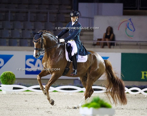 Borja Carrascosa on Sir Hubert (by Sir Heinrich x Florestan)