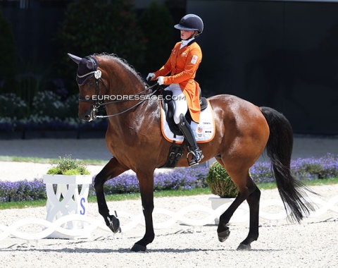 Aachen debut for former Dutch youth team rider Rowena Weggelaar on Don Quichot (by United x Gribaldi)