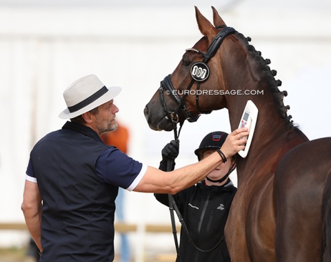 Checking the microchip on Atterupgaards Cooper