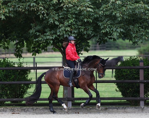 Switzerland's Meilin Ngovan on Fibonacci, ridden at the 2024 Paris Olympics by Andrina Suter (SUI)
