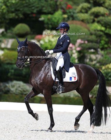 France's Mado Pinto on Sirano de Luxe (by Sir Donnerhall x De Niro). The contact was often too strong, but this horse has a great piaffe-passage