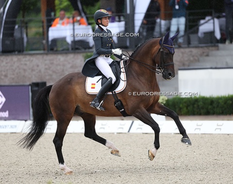 Spanish Olympian Beatriz Ferrer-Salat on Elegance. The trot extensions are hard to watch, but in canter Elegance impresses with his flying changes
