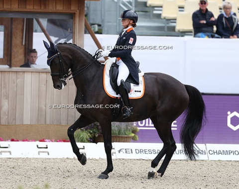 Marieke van der Putten with her star for the future: Zantana (by Zonik x Sir Donnerhall). Too much tension today