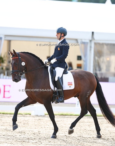 Diego Gonzalez Lopez on Lisonjero da Vida. This PRE had a super walk, but only got 7.8. A little benevolence / fairness in the scoring towards the non-warmblood breeds would be nice