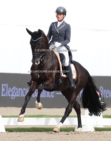 Danielle Heijkoop on the former Blue Hors owned stallion Nordic (by Totilas x Jazz). He takes more after Jazz and was quite spooky