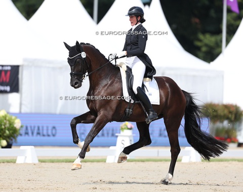 Swiss Sabine Meier on Olviia Ghilardi's Hanoverian Darf Ich Bitten (by Don Martillo x Van Vivaldi)