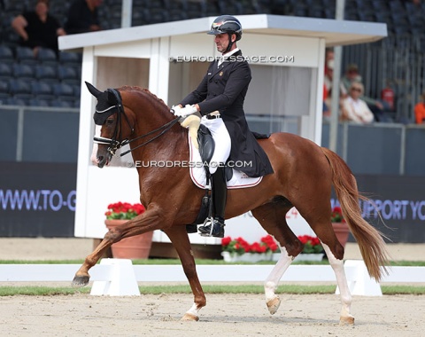 Belgian Olympian Domien Michiels on Sunnyboy van de Kempenhoeve (by Don Deluxe x Quaterback)