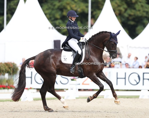 Maren Müller-Bentes on Rumours (by Revolution x Bequia). I quite liked this big, large-framed horse that was nice in the mouth. They had issues in the walk though