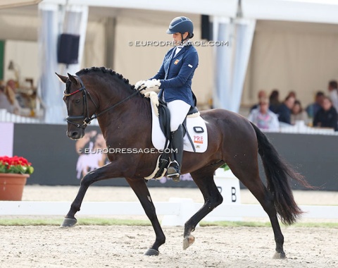 Cristina Perona Laliga on her father's home bred Rey de Perona (by Cacique IX x Vampiro de Pereto). A gorgeous PRE with a really uphill canter