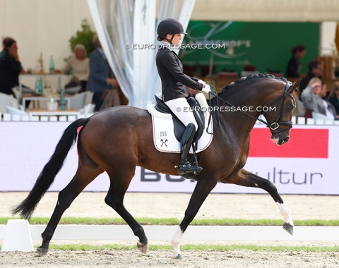 Charlott Maria Schürmann with Viva Las Vegas (by Viva Gold x Foundation)