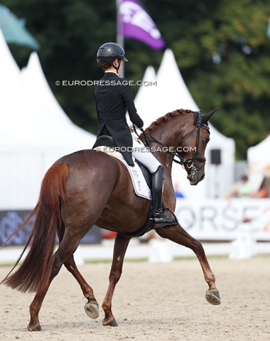 The crowd booed because they expected a higher score. Patricia Seddig's Fuchtels High Light is a very talented horse but lacked collection in canter today and the walk was rather peacocky.