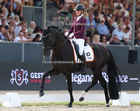 The judges were obsessed with Obsession Taonga (by Vitalis x All at Once) and gave him big scores: 8.7. for walk and trot, 8.6 for canter, 8.2 for submission and 8.8 for perspective (86.000%)