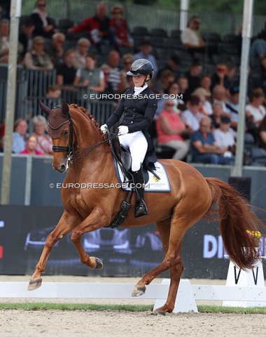 Lovisa Wessblad and Ulrika Bynander's SWB mare Simmebros de Luze (by Ironman H x Shooting Star)