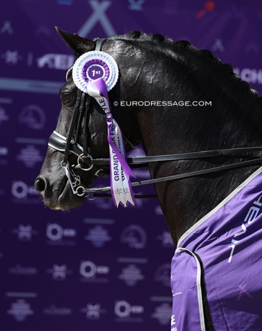 Fifty shades of FEI purple