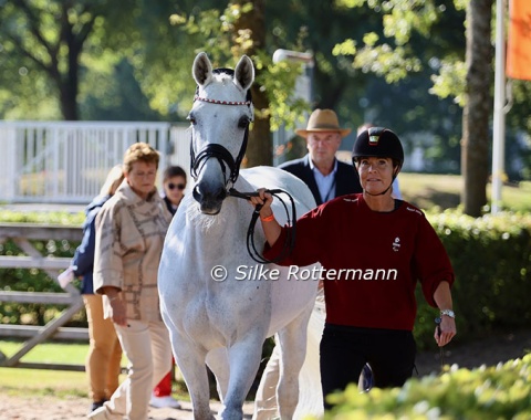 Full focus: Jolene Hill (by Blue Hors Schufro Hit x Windsor)