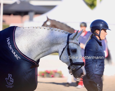 British para legend Sophie Wells and Gabby Blake’s Connemara crossbred Strong Beau